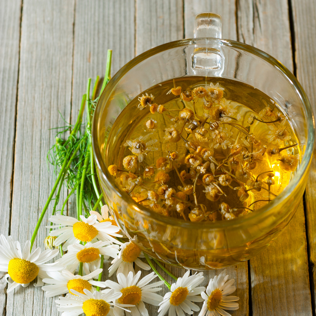 Organic Nile Delta Chamomile Tea